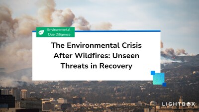 The Environmental Crisis After Wildfires: Unseen Threats in Recovery